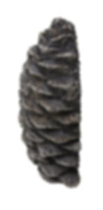 Manufacturer product image
