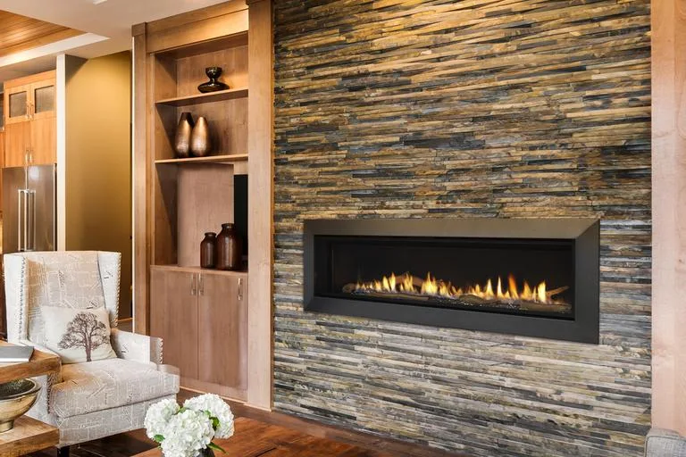 Echelon II Direct Vent Fireplace