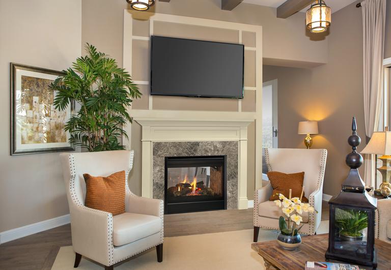 See-Through Gas Fireplace